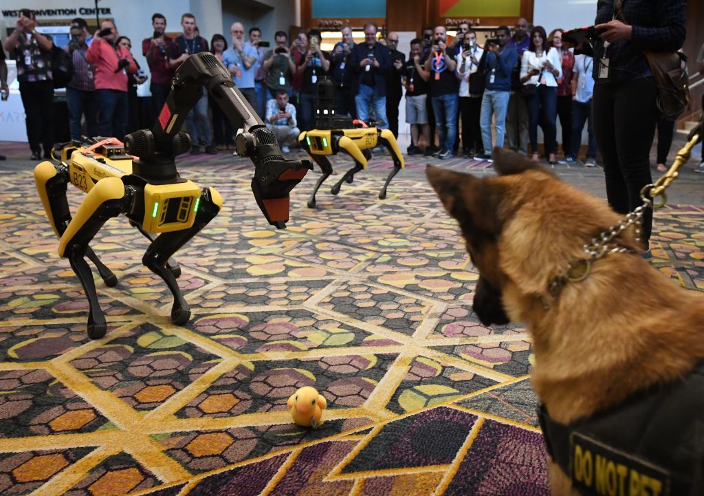 Robot Dogs Can Now Move Quickly in Crowded Places Due to This New Algorithm