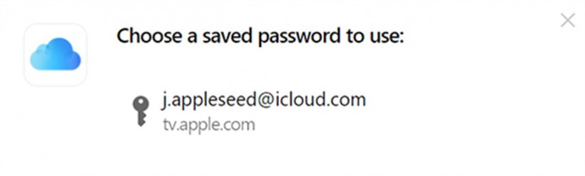 iCloud for Windows' Password Manager