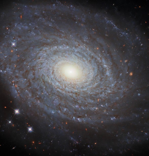 NGC 691