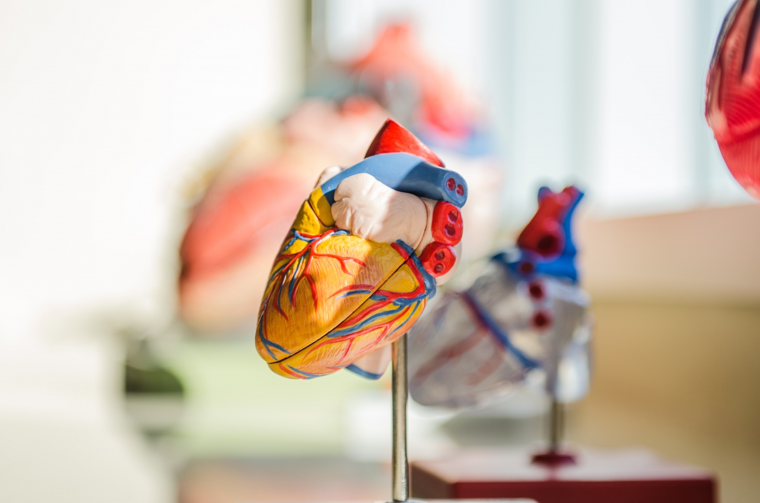 人工智能技术对心脏成像可以作为工具来帮助医生检查万博体育登录首页疤痕组织