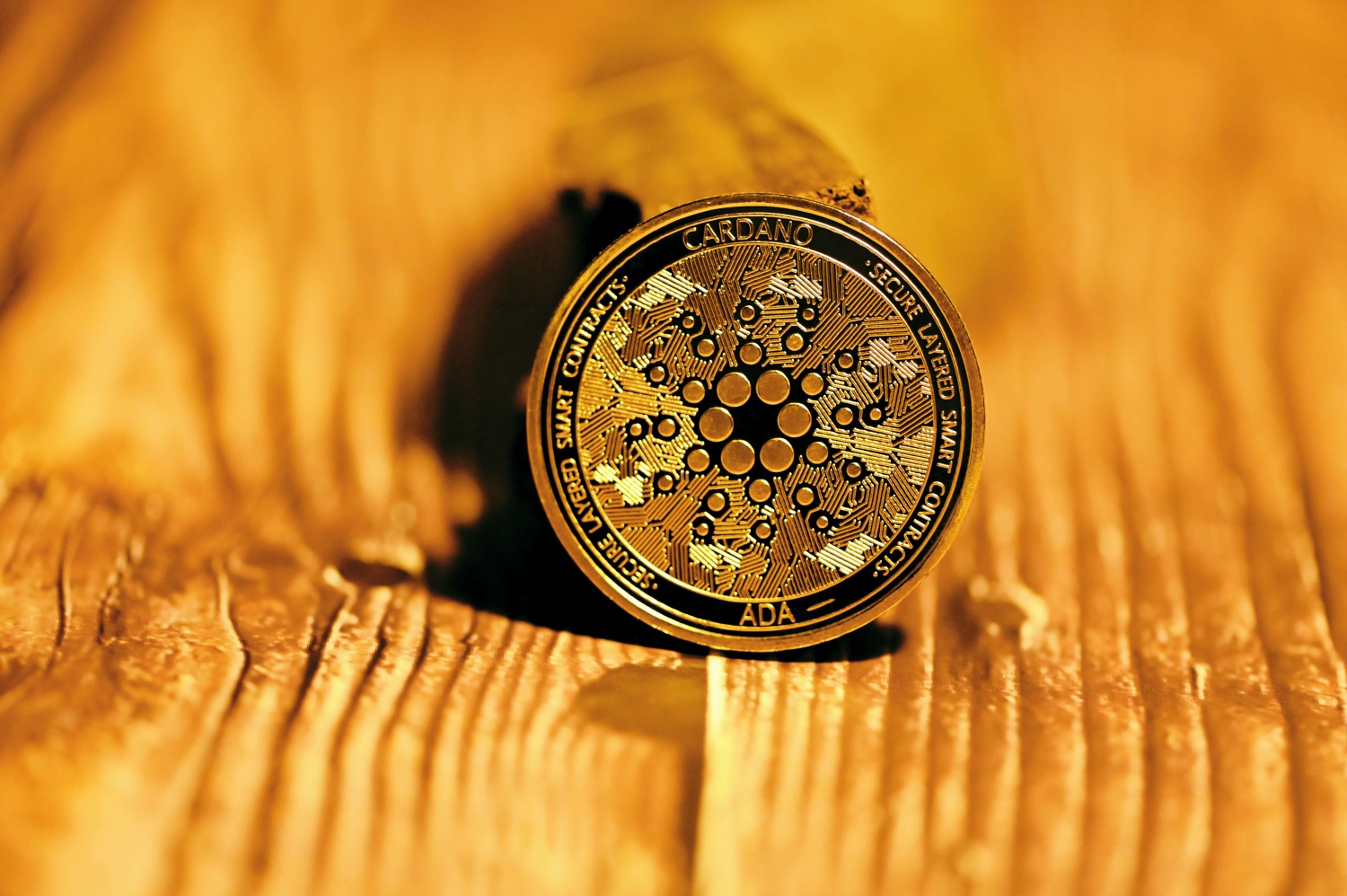 watch crypto price