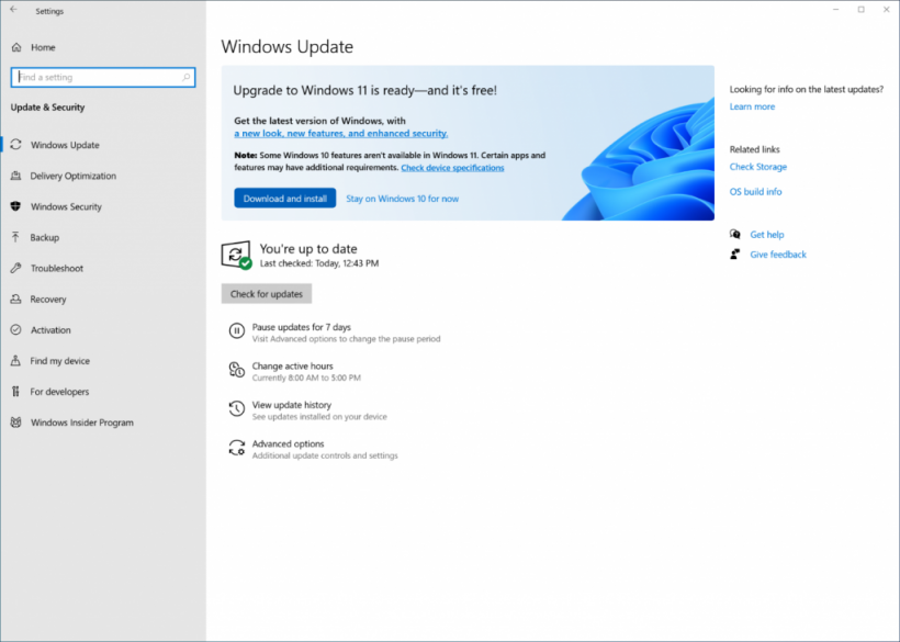 Windows 11 Upgrade Screenshot