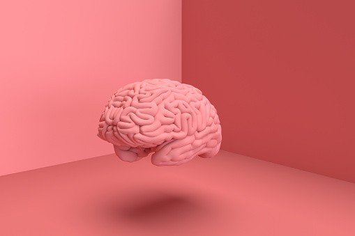  Brain render 