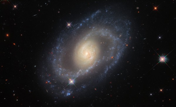 Hubble Space Telescope's Photo of Mrk 1337