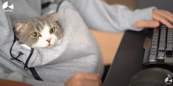Hoodie with Pouch for Cats to Keep Pets Close