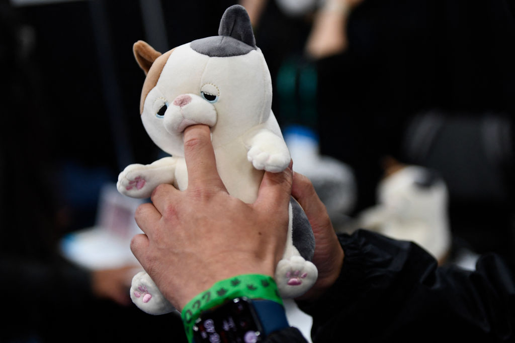 CES 2022: COVID-Mask With Cooling Fan, 'Sweet Biting' Cat Plush Stars Tech Show