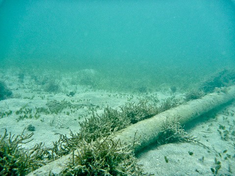 underwater cable 