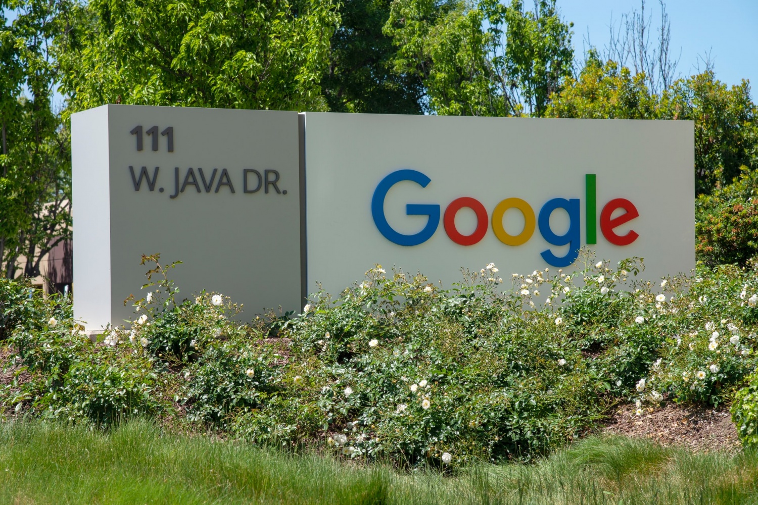 Alphabet Stock Split 2022: Google's Parent Company Approves 20-for-1 Split To Attract More Investors 