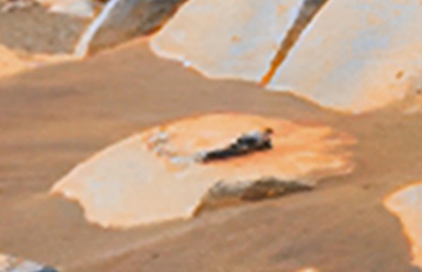 NASA Mars rover anomaly 