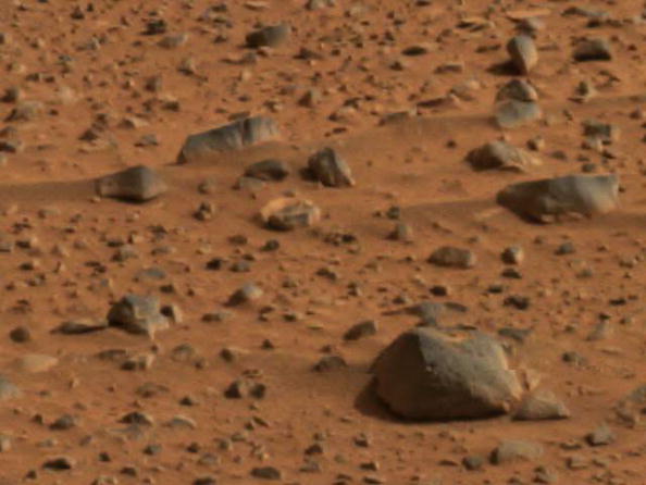 NASA's Mars Rock Samples Contain Space Germs? Here's Its Probability