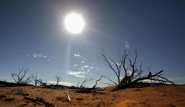 Australia Climate Change Google Searches Increase by 5000%! What Does It Mean? 