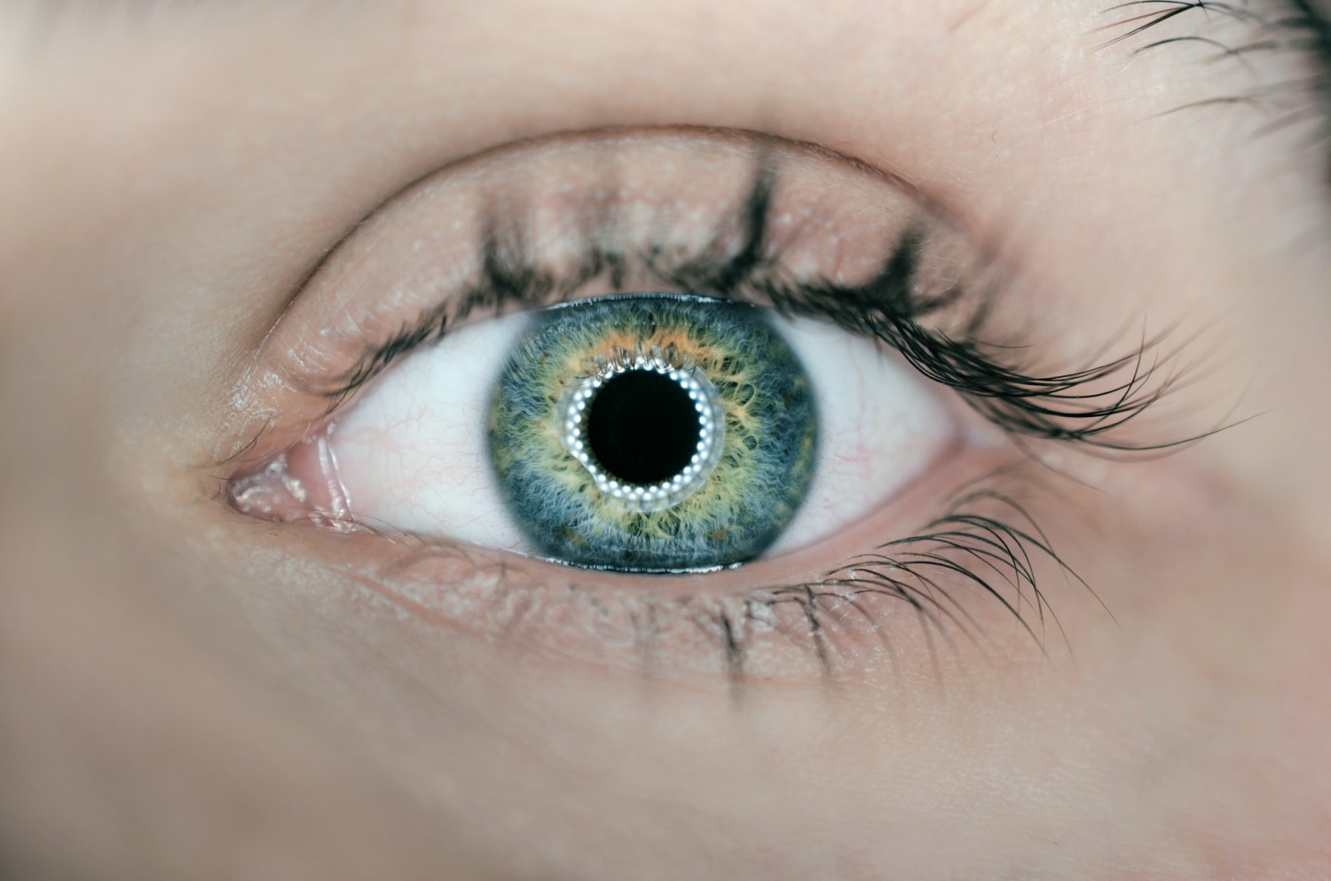 Eye Disease Treatment and Prevention Through Smart LED Contact Lenses: How Effective Is It?
