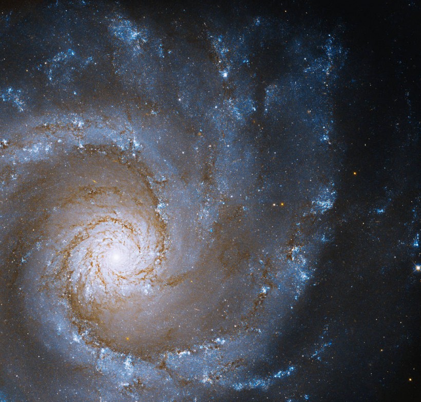 Hubble Looks at a Face-On Grand Spiral