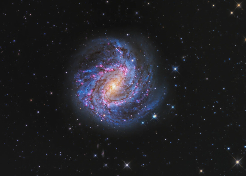 HUBBLE-MAGELLAN COMPOSITE OF M83