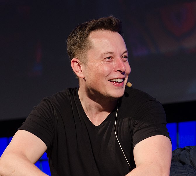 Elon Musk - The Summit 2013.