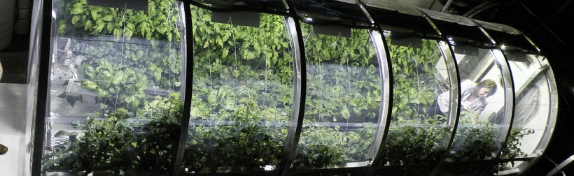 Lunar, Martian Greenhouses Designed to Mimic Those on Earth