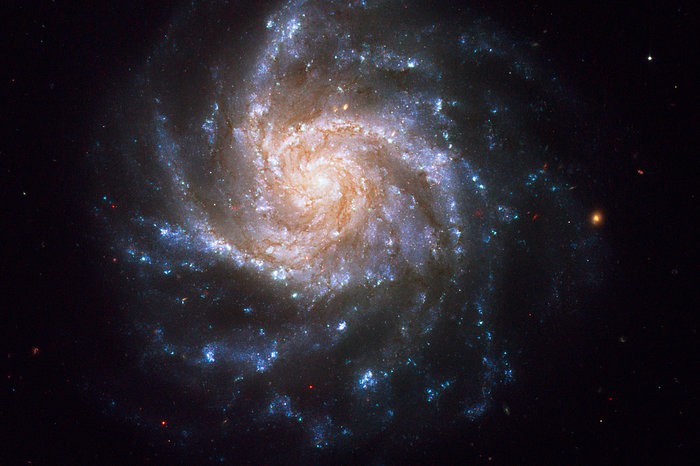 Spiral galaxy NGC 1376