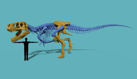 Full-Scale VR T-Rex Now 3D-Printed! Here's How Topgunsi Creates It; Tools Used, Availability, and More