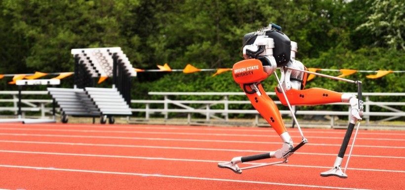 Bipedal robot developed at Oregon State achieves Guinness World Record in 100 meters