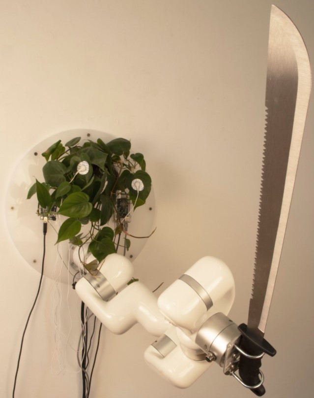 Plant Machete: This Living Plant is Controlling a Weapon Using a Robotic Arm