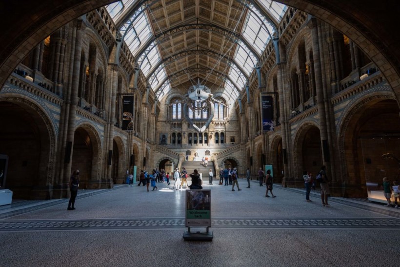 The Natural History Museum Reopening