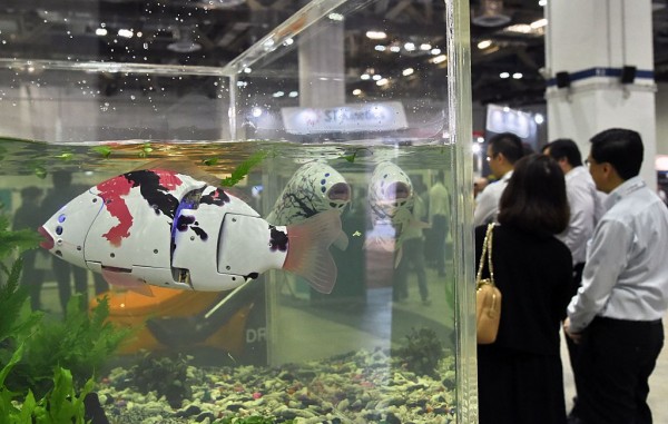 Fish robots search for pollution in the waters