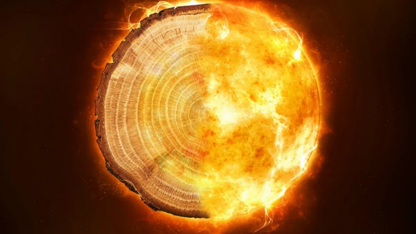Tree rings offer insight into devastating radiation storms