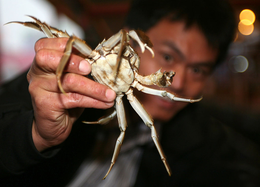 Man Swallows a Live Crab as Revenge, Gets Hospitalized for Parasitic Infection Two Months Later