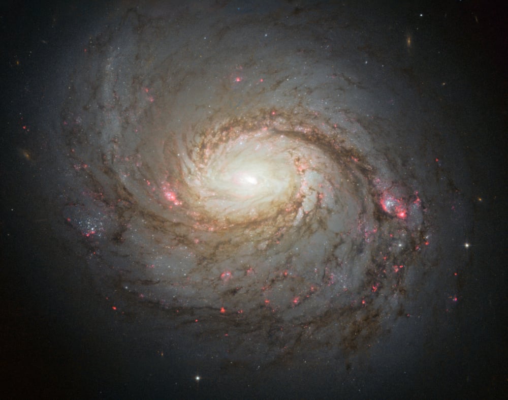  NGC 1068