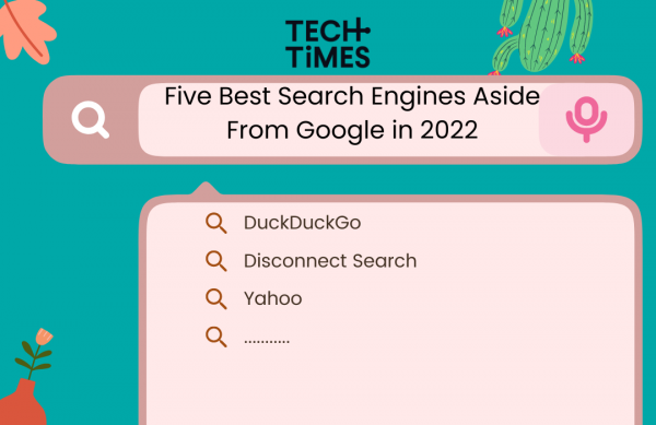 2022年除了谷歌之外的五大最佳搜索引擎