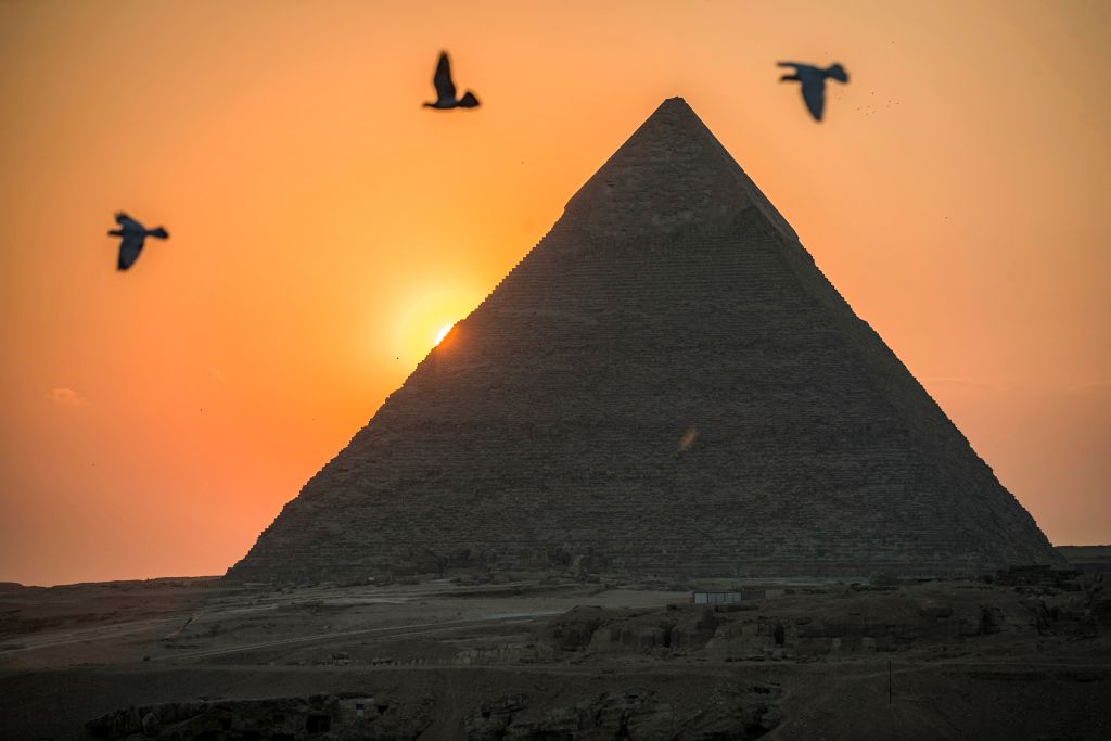 EGYPT-SOCIAL-ANIMAL-PIGEON