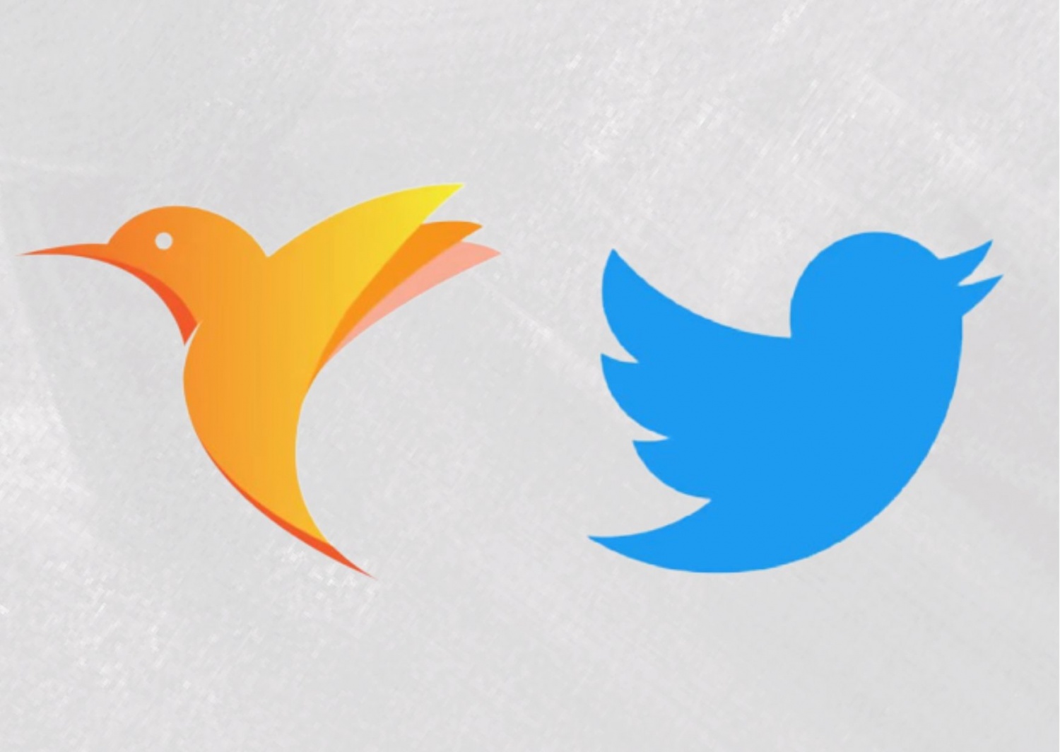 Twitter Bars This Singapore Startup From Using A Bird Logo Tech Times 7514