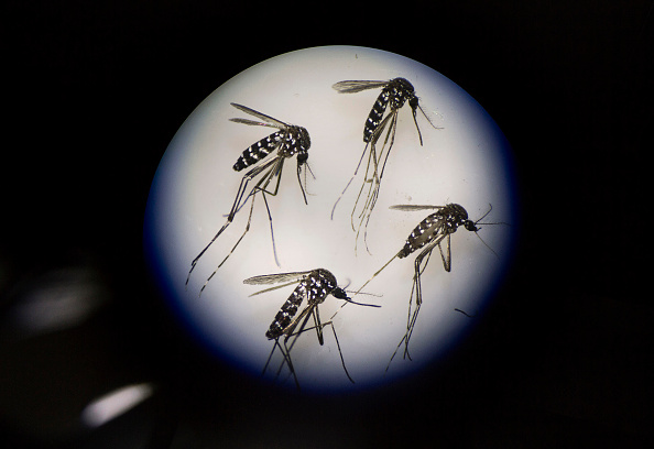 美国军方新型驱蚊剂成功完成测试!不需要皮肤接触