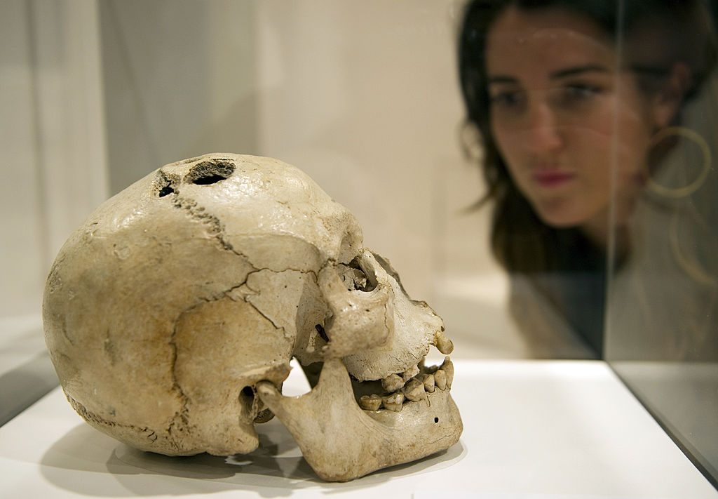 女人看着青铜时代的头骨
