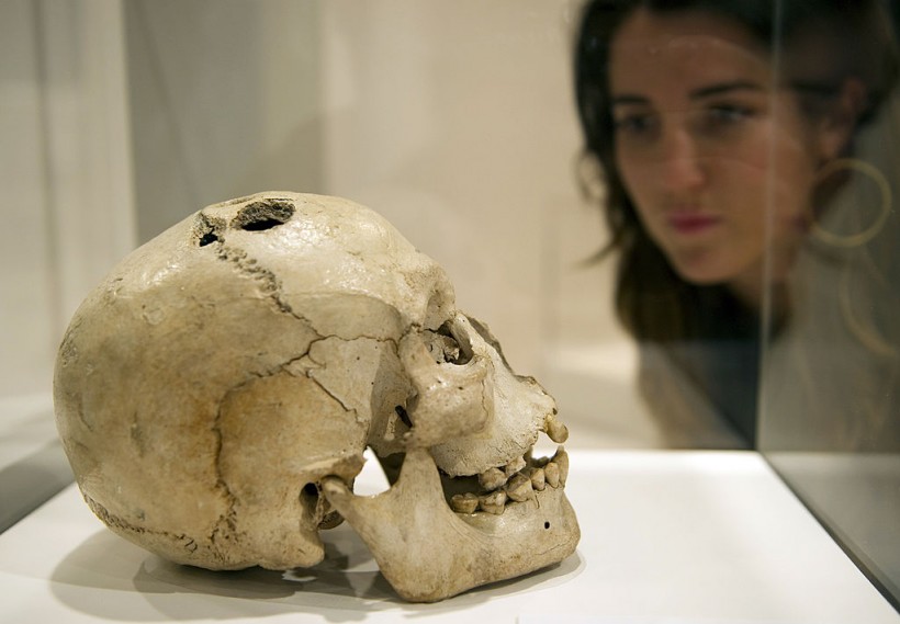A woman looks at a bronze age skull from