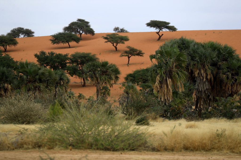 SUDAN-CLIMATE-GUM阿拉伯语