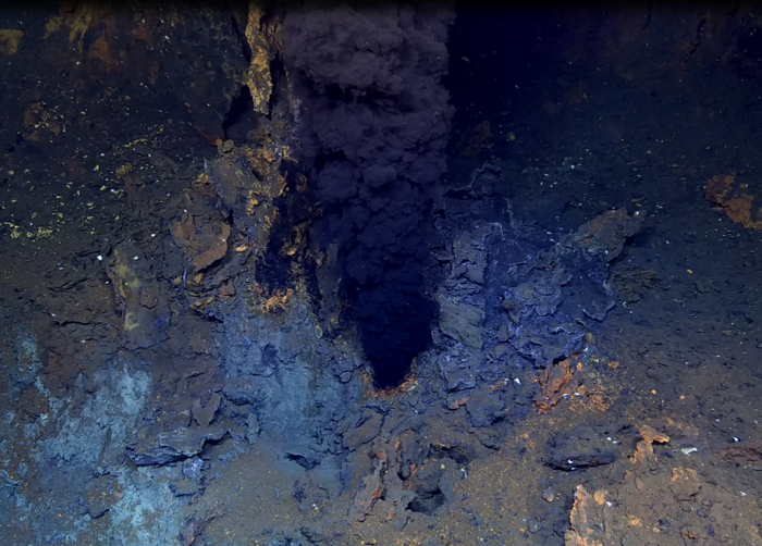 Underwater Volcano Plume Bacteria