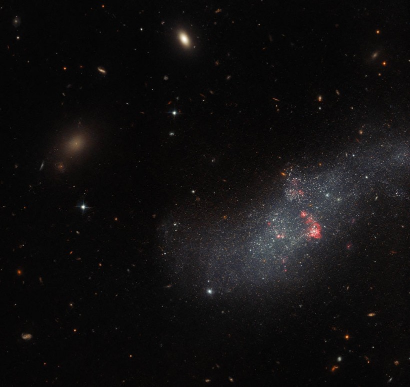 Hubble Sees a Diminutive Dwarf Galaxy