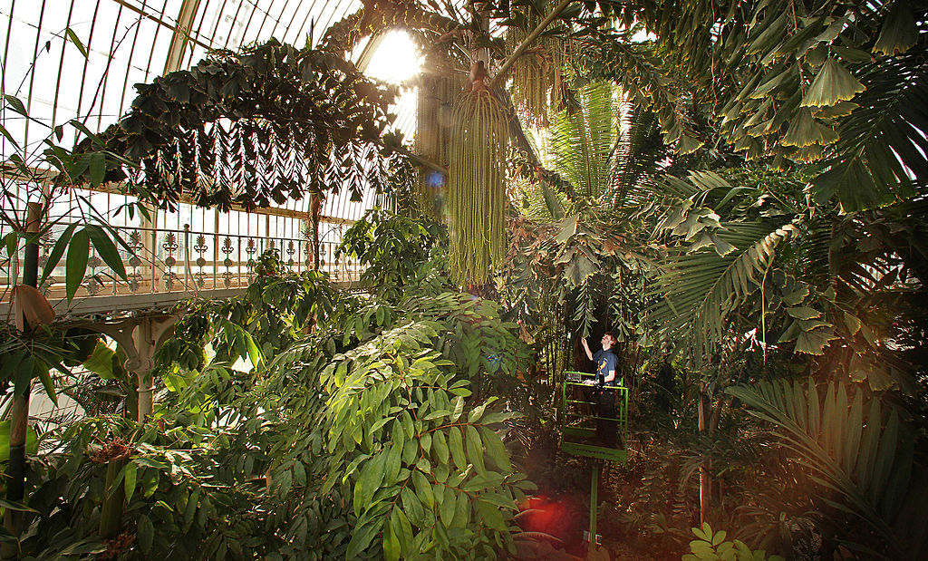 The Royal Botanic Gardens At Kew Celebrate Their 250th Anniversary