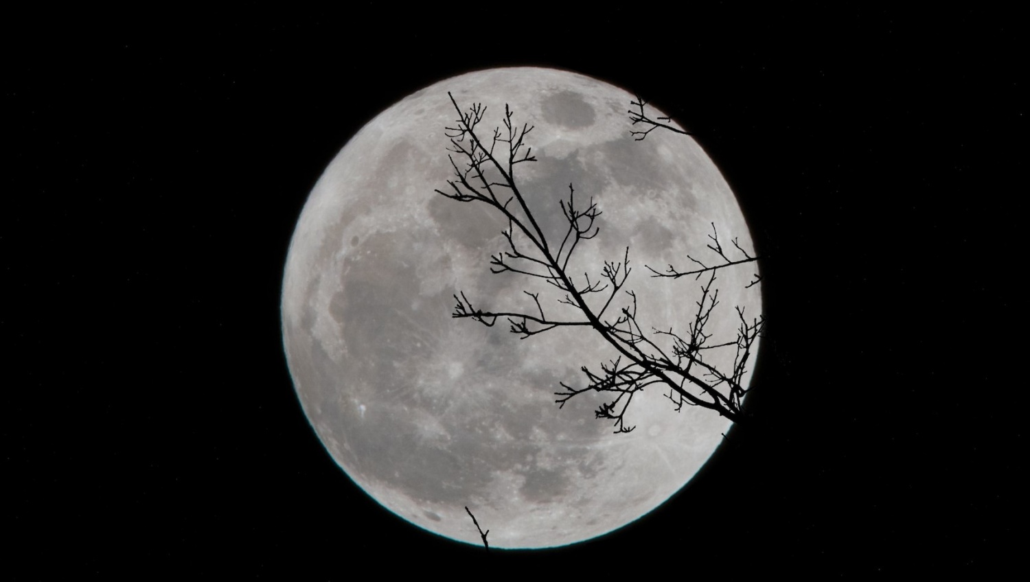 Discover How Moon Phases Can Disrupt Your Sleep, Here's What You Can Do