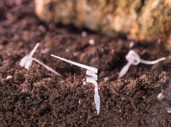 IIT: the first 3D-printed biodegradable seed robot, able to change shape in response to humidity