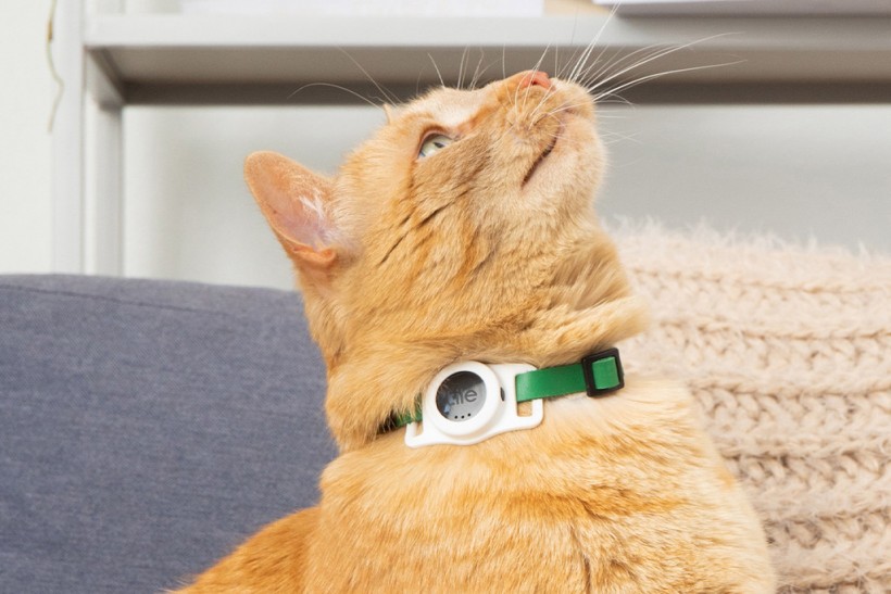 Tile's New Cat Tracker Device Lasts for Three Years! Price, Features, Other Details