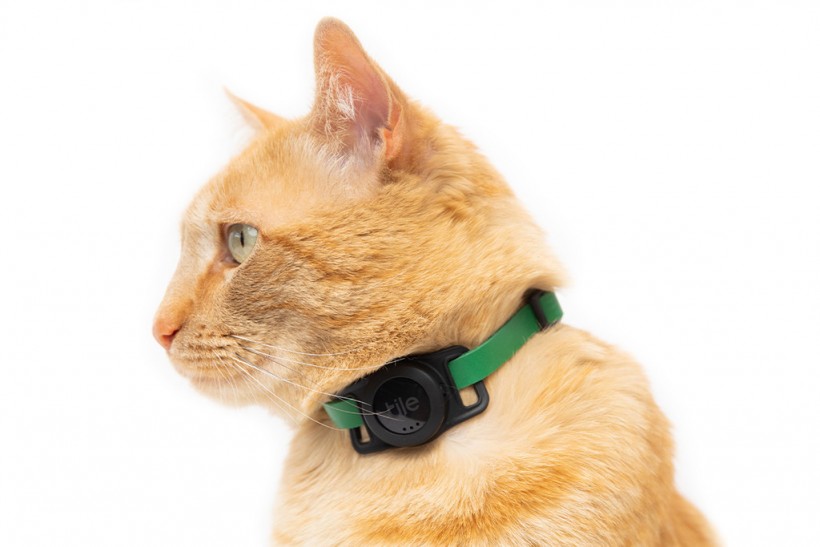 Tile's New Cat Tracker Device Lasts for Three Years! Price, Features, Other Details