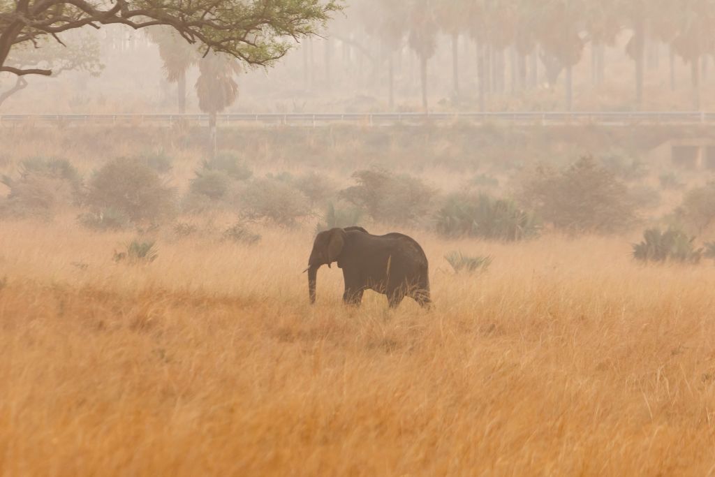 UGANDA-CLIMATE-ENVIRONMENT-OIL