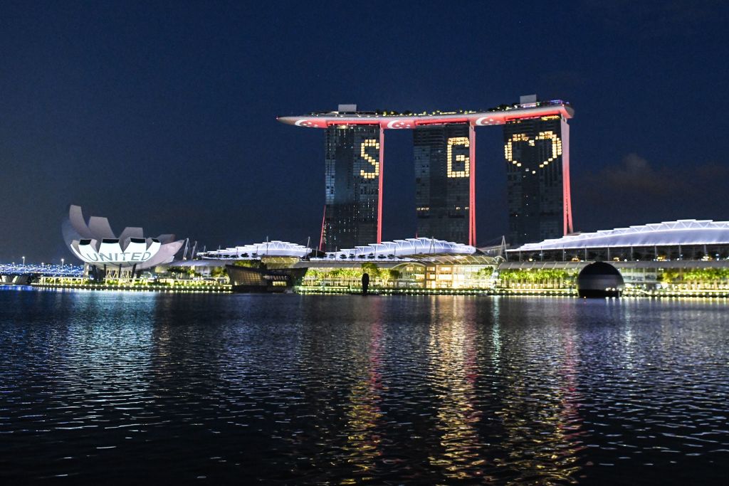 Singapore Takes Wait-and-See Approach: No Immediate Plans for AI Regulation Despite Global Efforts