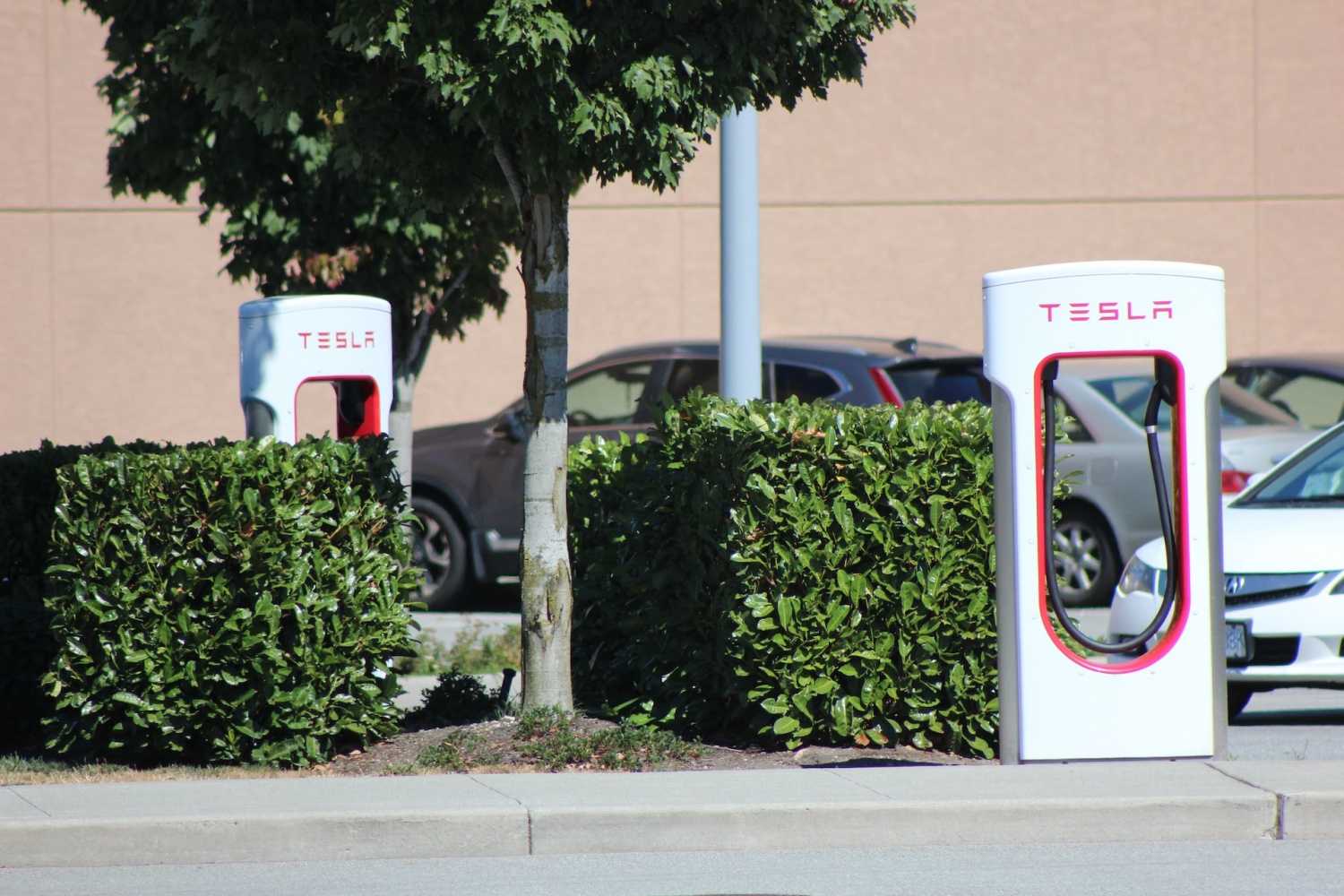 New Tesla V4 Supercharger With Credit Card Reader Revealed: What it is For?