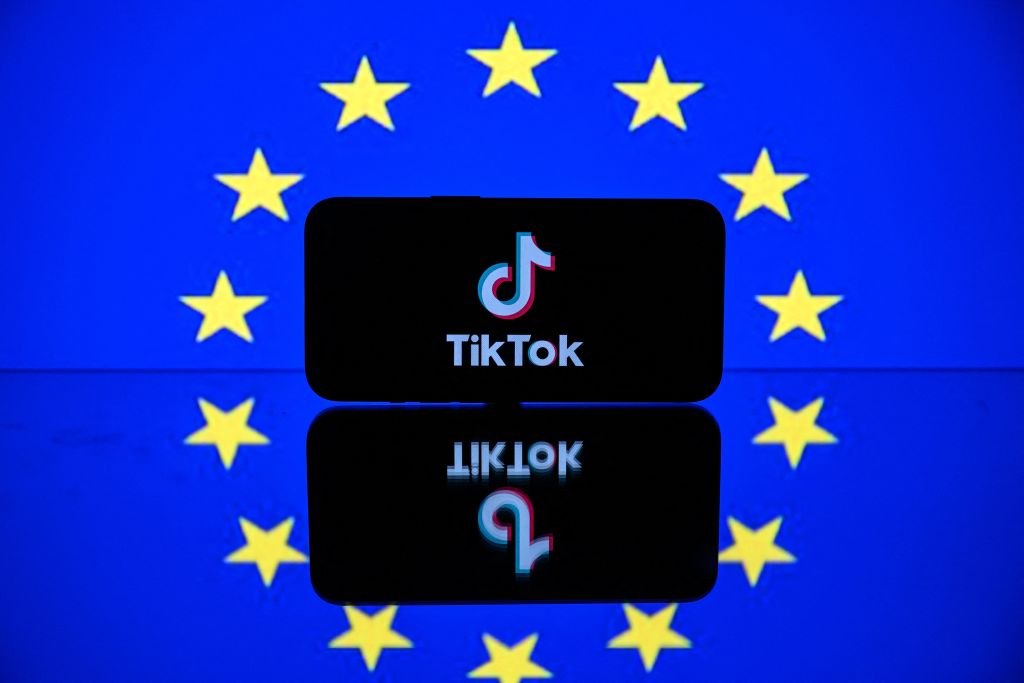 Tiktok logo -  France