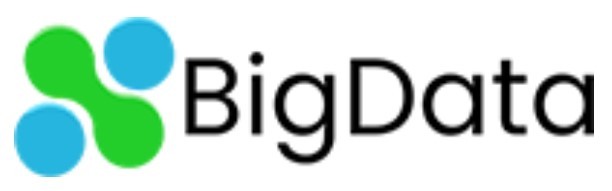 BigData Logo