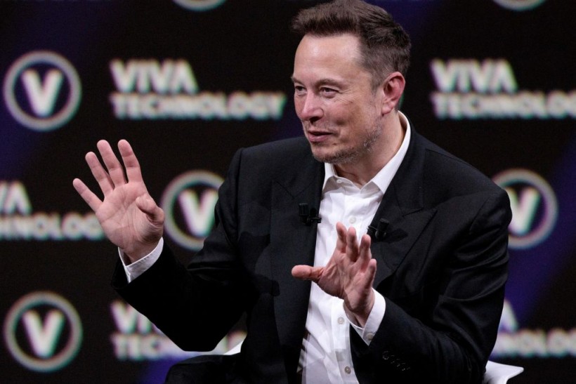 Elon Musk Auctions Blue Bird Memorabilia Following Twitter's 'X' Rebrand: All Items You Can Buy