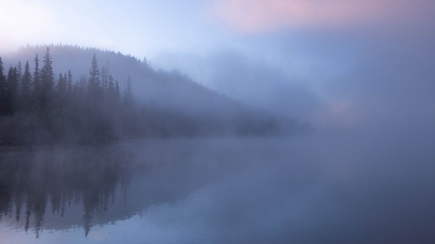 This Method Developed by Researchers Transforms Fog Into Clean, Drinkable Water